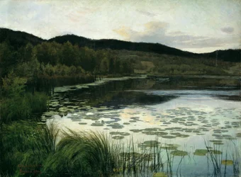 Sommernatt